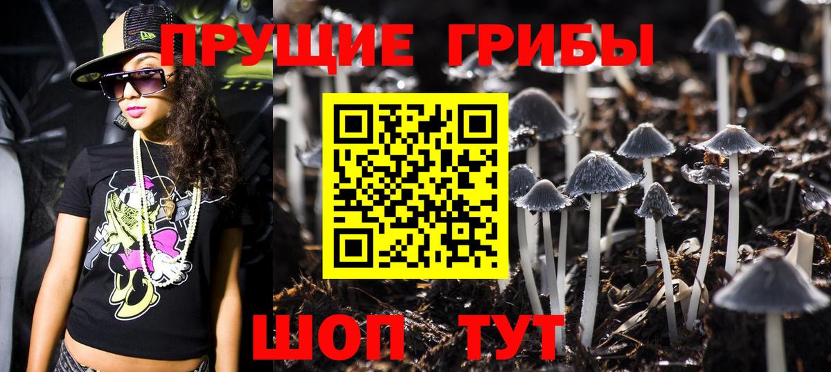 Сибай  Галлюциногенные грибы Psilocybine cubensis  Вход с VPN 